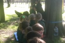 2017-jardin-interjardines-08