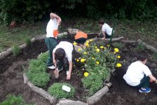 2017-primaria-huerta3-02