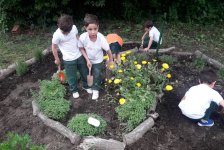 2017-primaria-huerta3-03