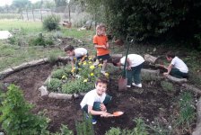 2017-primaria-huerta3-06