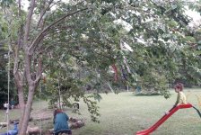 2017-primaria-huerta3-07