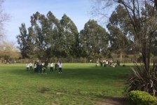 2017-primaria-olimpiadas-13