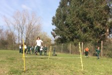 2017-primaria-olimpiadas-18