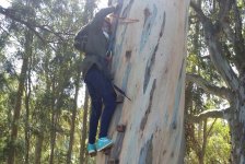 2017-secundaria-campamentocicloinferior-05