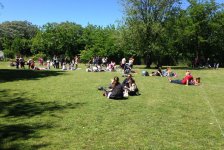 2017-varios-diafamilia-07