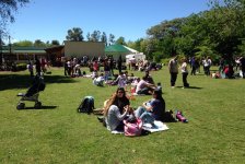 2017-varios-diafamilia-08