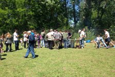 2017-varios-diafamilia-10