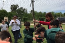 2017-varios-arbolesrotary-01