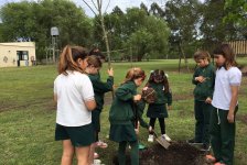 2017-varios-arbolesrotary-03