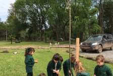 2017-varios-arbolesrotary-05