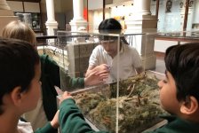 2018-primaria-viajelaplata-22