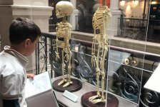 2018-primaria-viajelaplata-23