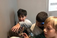 2018-primaria-viajelaplata-25