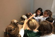 2018-primaria-viajelaplata-26