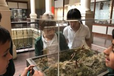 2018-primaria-viajelaplata-28