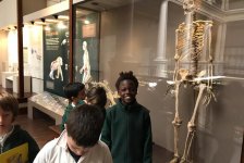 2018-primaria-viajelaplata-29