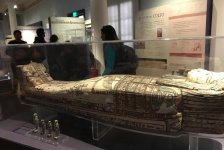 2018-primaria-viajelaplata-30