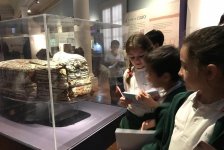 2018-primaria-viajelaplata-34