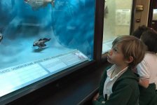 2018-primaria-viajelaplata-37