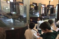 2018-primaria-viajelaplata-39