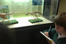 2018-primaria-viajelaplata-40